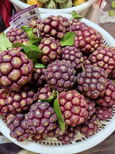 认水果，有认识的吗？