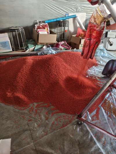 四冠包衣拌种，防虫防病壮苗增产。