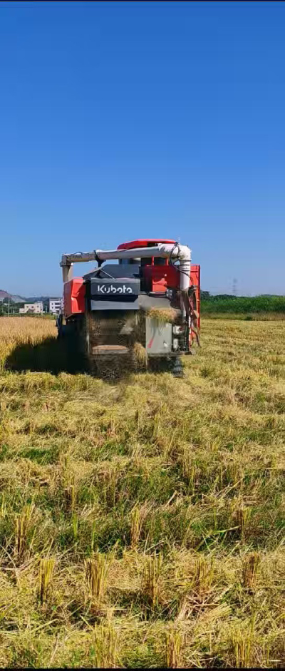 惠州基地，无人拖拉机收水稻了。