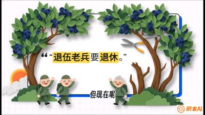 第7节：修剪决定产量（下）&mdash;&mdash;结果树的更新与疏果，课程：《蓝莓&ldquo;高产&rdquo;实战课：从选苗到丰收的10个关键点》