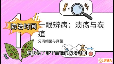 第三节：细菌与真菌&mdash;&mdash;溃疡病与炭疽病，课程：《柑橘十大病虫害：从入门到精通》