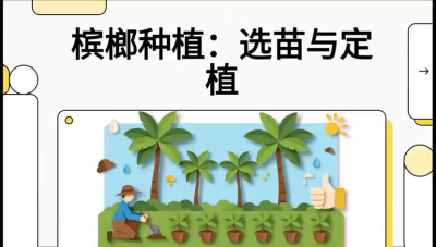 第01节：选苗与定植&mdash;&mdash;&ldquo;苗好一半收，底肥定千秋&rdquo;课程：《槟榔种植：从不懂到精通的10堂必修课》