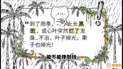 第05节：常见真菌病害&mdash;&mdash;&ldquo;炭疽与烂心，早防值千金&rdquo;《槟榔种植：从不懂到精通的10堂必修课》