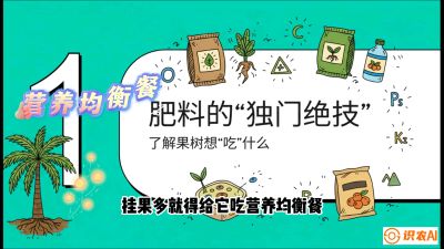 第07节：科学施肥&mdash;&mdash;&ldquo;氮磷钾配好，树壮果不倒