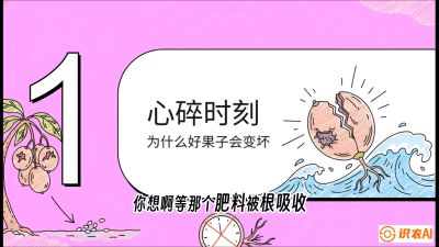 第08节：微量元素与保果&mdash;&mdash;&ldquo;补硼又补钙，果子不裂坏&rdquo;《槟榔种植：从不懂到精通的10堂必修课》