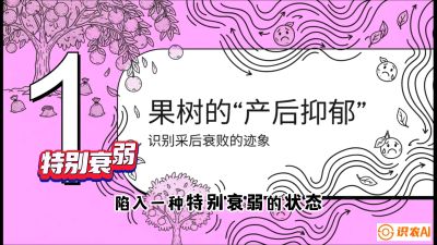 第2节：【冬肥策略】采后&ldquo;月子肥&rdquo;：大小年的精准干预术，课程：《柑橘底肥&ldquo;翻身账&rdquo;：从改土到高产的实战全书》