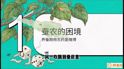 第06节：虫口夺叶（上）&mdash;&mdash;物理与生物防控绝技，课程《桑海淘金：桑树高产与蚕桑安全进阶实战课》