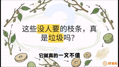 第12节：变废为宝&mdash;&mdash;循环农业实操，课程：《桑海淘金：桑树高产与蚕桑安全进阶实战课》