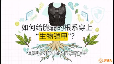 第三节：国产榴莲突围战：根系堡垒，菌根微生态构建与黄金定植窗口，课程：《国产榴莲突围战：从泰国经验到中国实操的8堂必修课（高阶实战版）》