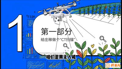 第5节：无人机也能&ldquo;看病抓药&rdquo;&mdash;&mdash;处方图与变量施肥入门，课程：《无人机植保搞钱必修课：从&ldquo;瞎飞&rdquo;到&ldquo;懂行&rdquo;的6步进阶》