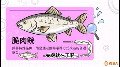 第六节：【老品升级&middot;脆肉鲩】如何让草鱼身价翻倍？，课程：《黄金鳞甲：2025中国淡水鱼高效养殖实战营》