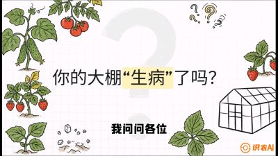 第2节（解毒篇）： 大棚里的&ldquo;红白绿&rdquo;警报&mdash;&mdash;读懂土壤盐渍化的求救信号，课程：《揭秘土壤的秘密：让土地帮你赚钱》#识农AI