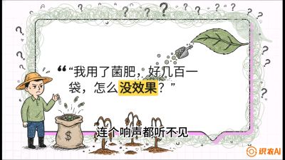 第4节（活化篇）： 土壤里的&ldquo;雇佣兵&rdquo;&mdash;&mdash;如何用菌剂以小博大，解决死棵难题，课程：《揭秘土壤的秘密：让土地帮你赚钱》#识农AI