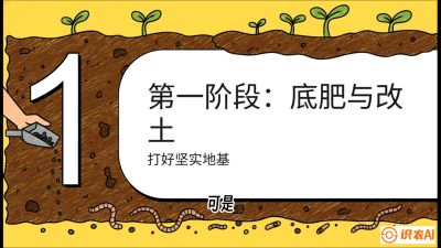 第6节（统筹篇）： 省钱又增产的&ldquo;黄金配比&rdquo;&mdash;&mdash;不同作物全年的养土实操方案，课程：《揭秘土壤的秘密：让土地帮你赚钱》#识农AI
