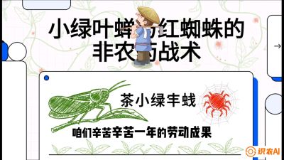 第03节（虫害篇）：看不见的吸血鬼：小绿叶蝉与红蜘蛛的&ldquo;非农药&rdquo;团灭战术（抗性治理），课程：《茶金时代：从&ldquo;看天吃饭&rdquo;到&ldquo;精准控局&rdquo;的茶叶高产提质实战课》