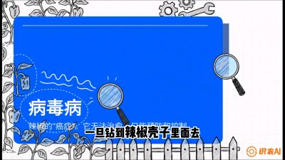 第5节：【病毒病阻击】辣椒的&ldquo;癌症&rdquo;怎么治？从&ldquo;绝收恐慌&rdquo;到&ldquo;带毒生产&rdquo;的逆转术，课程：《辣椒种植实战特训营，从工业辣椒到精品小米辣，教你如何把&ldquo;草&rdquo;种成&ldquo;金&rdquo;》