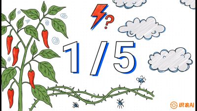 第6节：【花果爆发术】落花落果的五大元凶，与&ldquo;三喷一保&rdquo;坐果黑科技，课程：《辣椒种植实战特训营，从工业辣椒到精品小米辣，教你如何把&ldquo;草&rdquo;种成&ldquo;金&rdquo;》