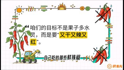 第7节：【工业辣椒专场】追求极致辣度！干物质提升与机械化采收的&ldquo;催红秘籍&rdquo;，课程：《辣椒种植实战特训营，从工业辣椒到精品小米辣，教你如何把&ldquo;草&rdquo;种成&ldquo;金&rdquo;》