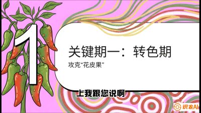 第8节：【小米辣线椒专场】颜值即正义！防花皮、防炭疽，打造收购商抢着要的&ldquo;精品果&rdquo;，课程：《辣椒种植实战特训营，从工业辣椒到精品小米辣，教你如何把&ldquo;草&rdquo;种成&ldquo;金&rdquo;》