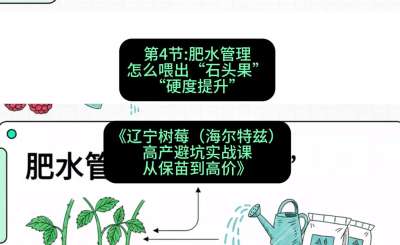 第四节： 肥水管理&mdash;&mdash;怎么喂出&ldquo;石头果&rdquo;（硬度提升），课程：《辽宁树莓（海尔特兹）高产避坑实战课：从保苗到高价》