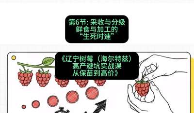 第六节： 采收与分级&mdash;&mdash;鲜食与加工的&ldquo;生死时速&rdquo;，课程：《辽宁树莓（海尔特兹）高产避坑实战课：从保苗到高价》