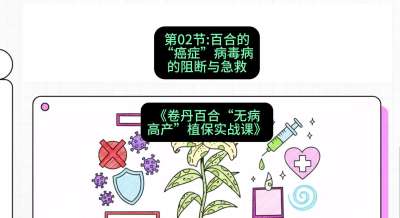 第02节：百合的&ldquo;癌症&rdquo;&mdash;&mdash;病毒病的阻断与急救，课程：《卷丹百合&ldquo;无病高产&rdquo;植保实战课》#识农AI