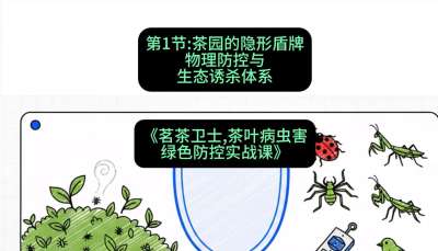 第01节：茶园的&ldquo;隐形盾牌&rdquo;&mdash;&mdash;物理防控与生态诱杀体系，课程：《茗茶卫士&mdash;&mdash;茶叶病虫害绿色防控实战课》#识农AI