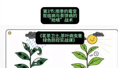 第03节：雨季的霉变&mdash;&mdash;炭疽病与茶饼病的&ldquo;抢晴&rdquo;战术，课程：《茗茶卫士&mdash;&mdash;茶叶病虫害绿色防控实战课》#识农AI