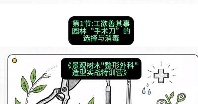 第01节：工欲善其事&mdash;&mdash;园林&ldquo;手术刀&rdquo;的选择与消毒，课程：《景观树木&ldquo;整形外科&rdquo;造型实战特训营》#识农AI