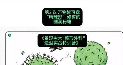 第02节：万物皆可盘&mdash;&mdash;&ldquo;精球形&rdquo;修剪的圆润秘籍，课程：《景观树木&ldquo;整形外科&rdquo;造型实战特训营》#识农AI