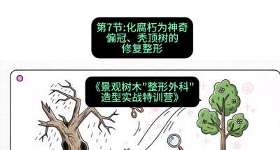 第07节：化腐朽为神奇&mdash;&mdash;偏冠、秃顶树的修复整形，课程：《景观树木&ldquo;整形外科&rdquo;造型实战特训营》#识农AI