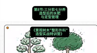 第08节：三分剪七分养&mdash;&mdash;造型后的水肥与定型管理，课程：《景观树木&ldquo;整形外科&rdquo;造型实战特训营》#识农AI