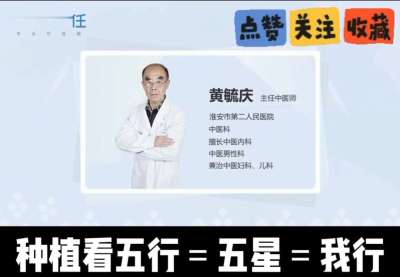 中药材淫羊藿怎么种？听专家一次讲明白！不挑地块好管理，耐寒耐旱省心省力，新手也能轻松上手，药用价值高、市场需求稳，妥妥的增收好品种～ 从生长习性到采收要点，干货满满无废话，种植疑问直接问，一对一答疑解
