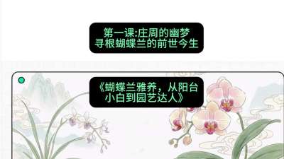 第一节：庄周的幽梦：寻根蝴蝶兰的前世今生，课程：《蝴蝶兰雅养六讲：从阳台小白到园艺达人》#识农AI