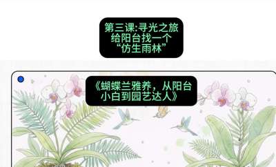 第三节：寻光之旅：给阳台找一个&ldquo;仿生雨林&rdquo;，课程：《蝴蝶兰雅养六讲：从阳台小白到园艺达人》#识农AI