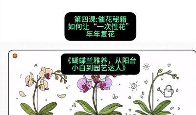 第四节：催花秘籍：如何让&ldquo;一次性花&rdquo;年年复花，课程：《蝴蝶兰雅养六讲：从阳台小白到园艺达人》#识农AI
